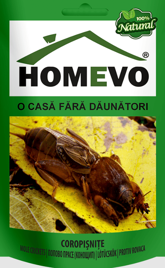 HOMEVO COROPIȘNIȚE