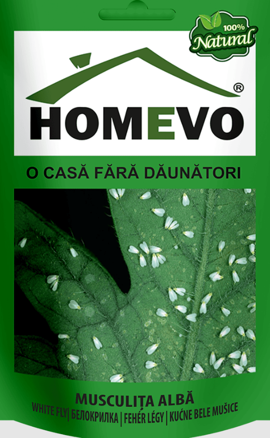 HOMEVO MUSCULIȚA ALBĂ