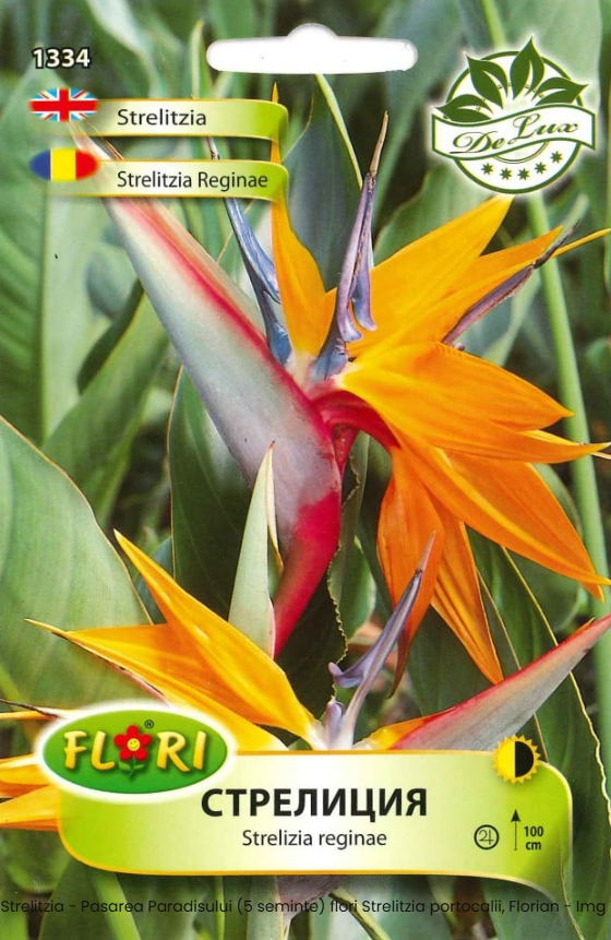 Strelitzia - Pasarea Paradisului (5 seminte) flori Strelitzia portocalii, Florian