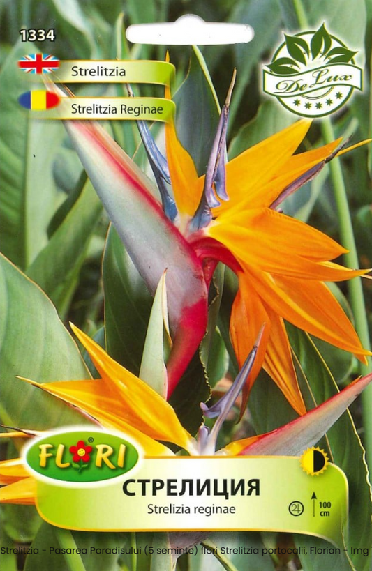 Strelitzia - Pasarea Paradisului (5 seminte) flori Strelitzia portocalii, Florian