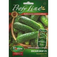 Seminte castraveti cornichon Excelsior F1 Florian 20 sem